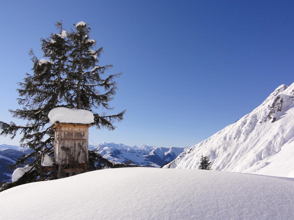 Appartamento Matzhof Leogang Esterno foto