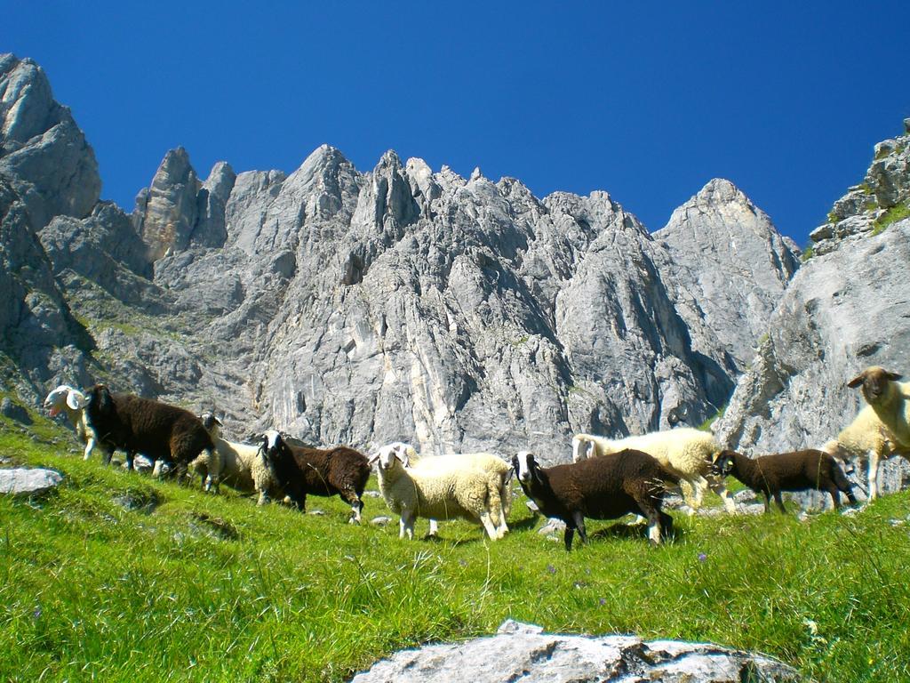 Appartamento Matzhof Leogang Esterno foto
